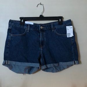 Regular Waist Shorts